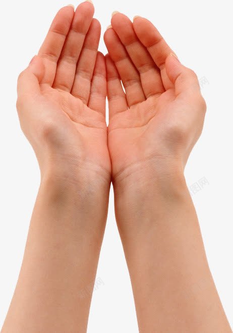 手势png免抠素材_88icon https://88icon.com 双手合 手势 手势图片 手势集锦 手式集合 手掌 手臂 拉勾 棒 耶