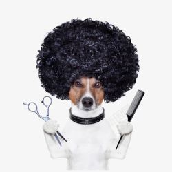 美发的狗狗素材