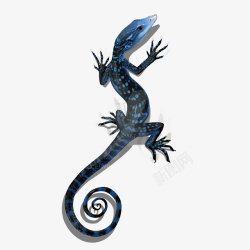 蜥蜴免扣PNG图蓝色水彩手绘蜥蜴矢量图高清图片