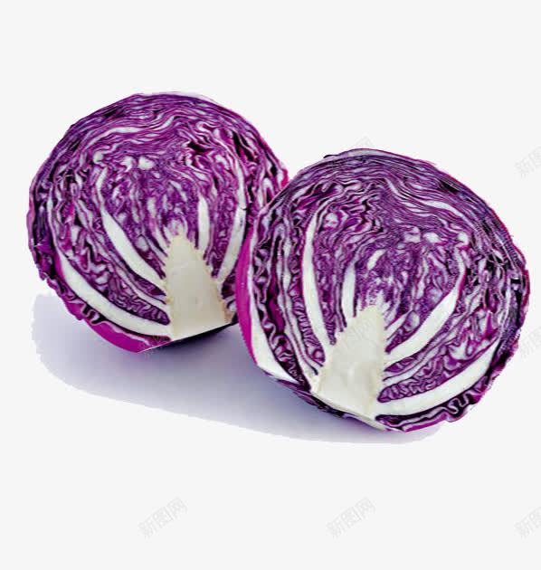 紫包菜png免抠素材_88icon https://88icon.com 产品实物 包菜 紫包菜 紫甘蓝 紫色 菜元素 蔬菜