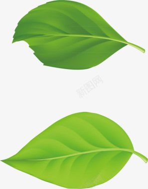茶叶叶子扁平飘散的叶子图标图标