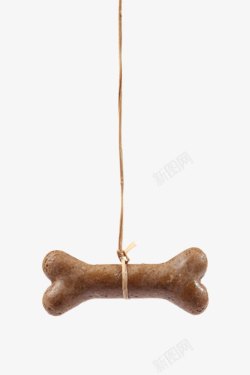 吊着棕色可爱动物的食物吊着的骨头狗高清图片