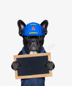 修理人员创意小狗手拿黑板高清图片
