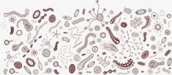 微生物图片素材下载细菌图形高清图片