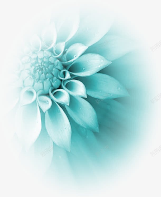 淡蓝色花朵装饰图案png免抠素材_88icon https://88icon.com 唯美 淡蓝色 渐变 花朵