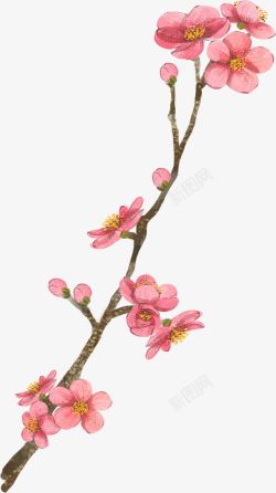 手绘复古粉色水彩花朵树枝装饰素材