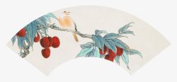 花鸟扇面画荔枝树上的麻雀素材