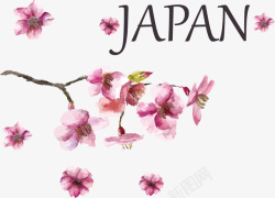 日本杂志特点日本樱花矢量图素材