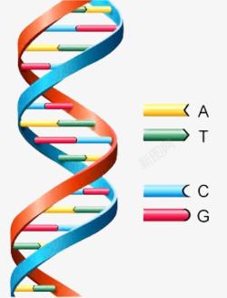 双螺旋基因链素材