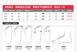 尺寸表设计鞋靴尺码对照表高清图片