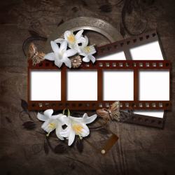 胶片花边桌子上的胶片鲜花摄影高清图片
