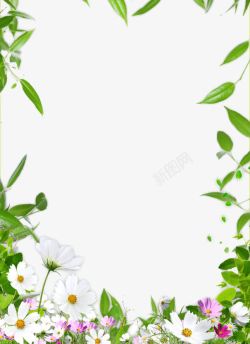 女性纸质边框花卉边框高清图片