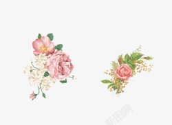 粉色手绘水墨玫瑰花牡丹花素材