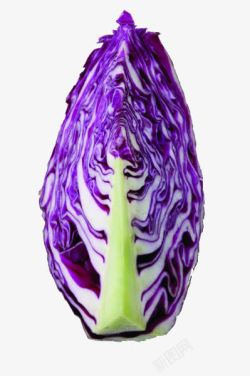 紫圆白菜素材