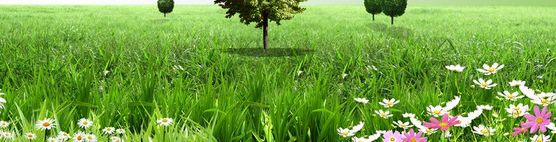 绿色清新保护树木环保背景psd设计背景_88icon https://88icon.com 保护树木 树木 清新 环保 环保树木 绿化 绿色 背景素材 草原