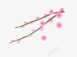 粉色春季美丽花枝素材