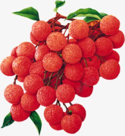 红色荔枝水果海报素材