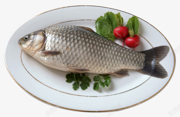 实物新鲜海鲜鲫鱼png免抠素材_88icon https://88icon.com 产品实物 新鲜鲫鱼 海鲜 生鲜 菜谱 食物 鱼