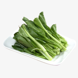 新鲜青菜椒微距摄影一盘子新鲜绿色广东菜心摄影插图高清图片