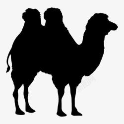 沙漠背景骆驼剪影高清图片