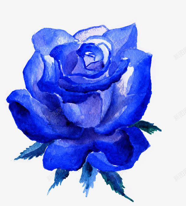 蓝色水彩玫瑰花朵png免抠素材_88icon https://88icon.com 水彩 玫瑰 花朵 蓝色 蓝色水彩玫瑰花朵 蓝色玫瑰