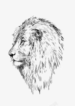 手绘黑色线条动物狮子头像素材