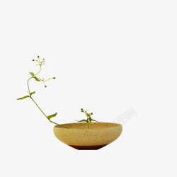 禅意陶罐植物盆景素材