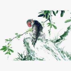中国风水墨彩绘树枝和猴子素材