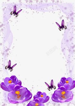 紫蝴蝶梦幻薄纱紫罗兰相框高清图片
