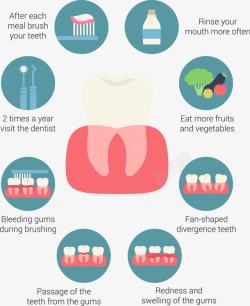彩色牙齿护理字护理牙龈办法信息图表高清图片