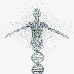 DNA人体遗传素材