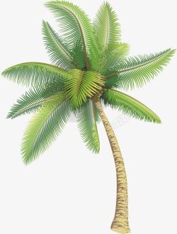 风热卡通插画风热带椰子树高清图片