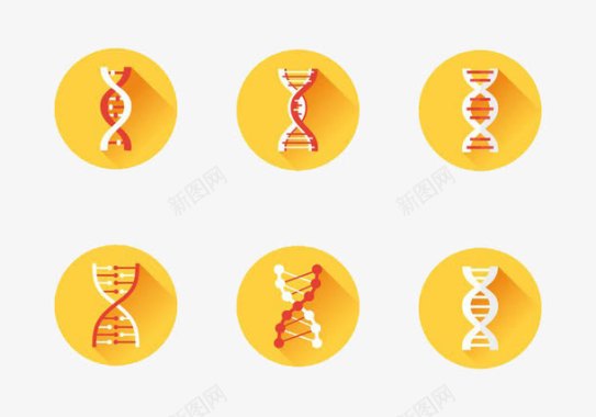 遗传分子DNA图标集图标