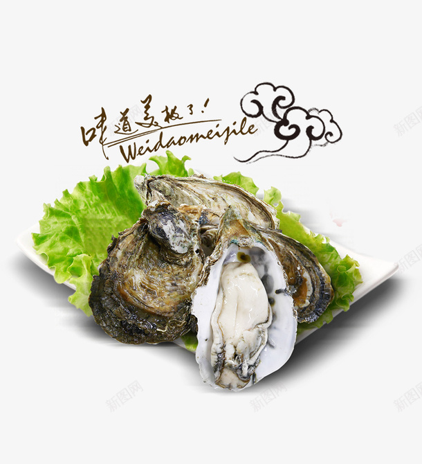 白色盘子里的生蚝png免抠素材_88icon https://88icon.com 海鲜 炭烧生蚝图片 白色 盘子里的生蚝 祥云装饰 美食 蔬菜装饰