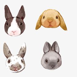小兔子各种表情头像手绘素材