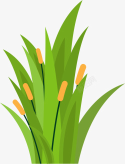 杂草绿色卡通春季芦苇高清图片