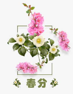 二十四节气之春分小清新花朵装饰素材