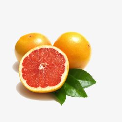 血橙橙子切面素材