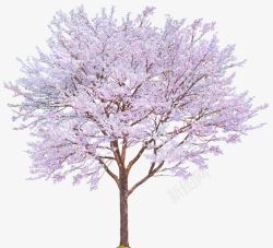 粉色樱花树樱花装饰图案素材