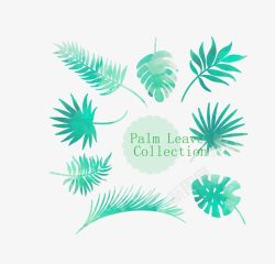 水彩绘棕榈树叶素材