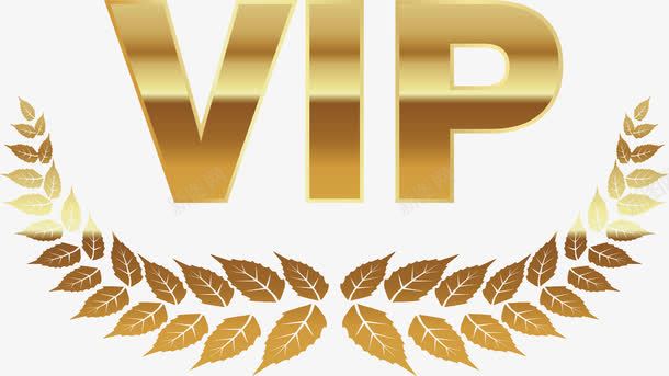 VIP卡金色vip图标图标