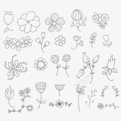 莲花简笔手绘线稿花朵和植物合集矢量图高清图片