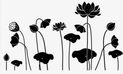 荷花花器黑色水莲花高清图片
