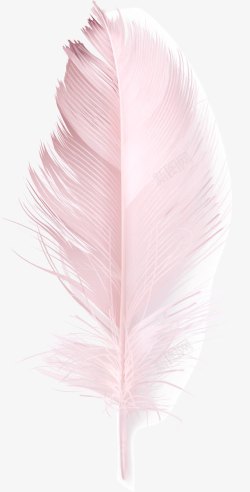 粉色羽毛素材