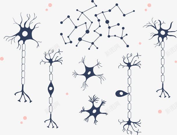 可爱简约医学神经细胞png免抠素材_88icon https://88icon.com 人体 医学细胞 生物 神经细胞 科研 细胞