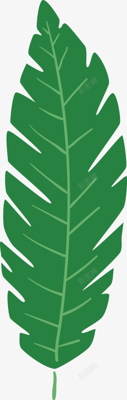两片棕榈叶卡通绿色棕榈叶叶子图矢量图高清图片
