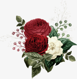手绘复古玫瑰花卉植物素材