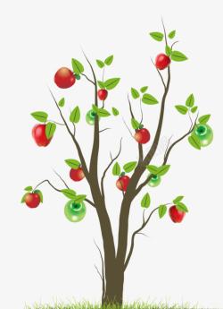 2017红苹果树青苹果树素材