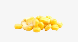 煮熟实物熟玉米粒高清图片
