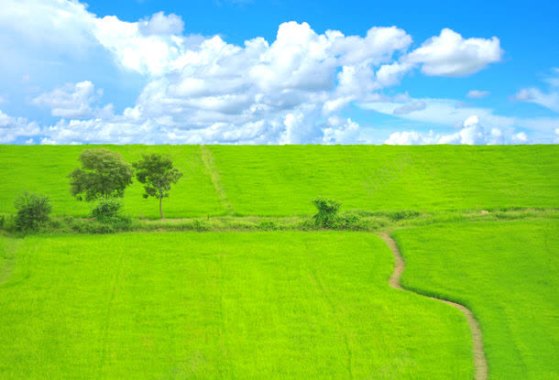 美丽草原风景摄影图片